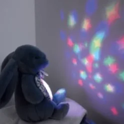 Best Veilleuse Lapin Musicale Projection mur avec chansons Douces - Vert Veilleuses